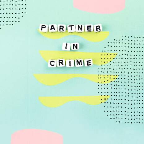 Partner in Crime Friendship Card, , large