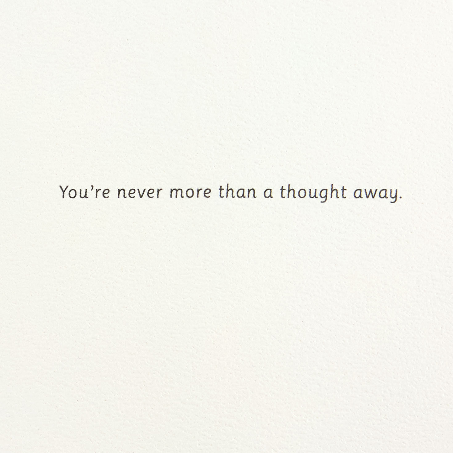 Pothos and Snake Plants with Cat Thinking of You Card Sentiment image number 2