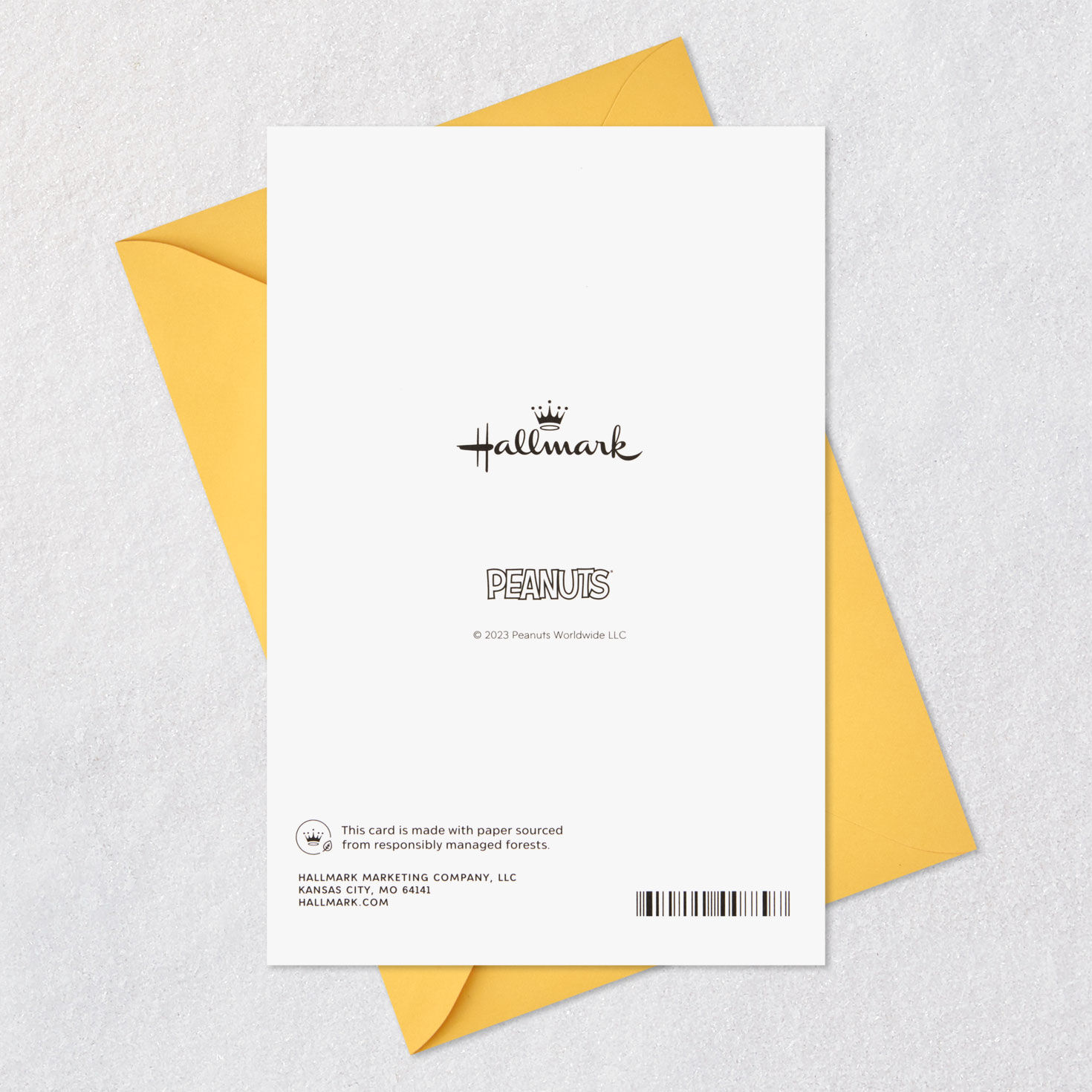 Peanuts Charlie Brown and Snoopy Thank You Card  image number 7