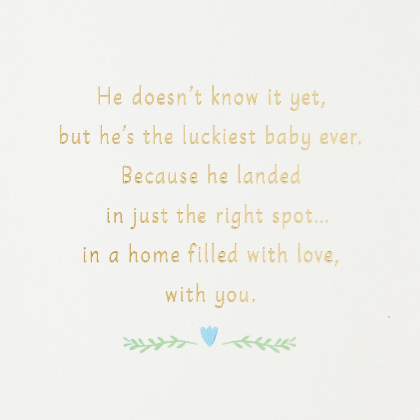 Baby Boy Hot Air Balloon New Baby Card Sentiment image number 2