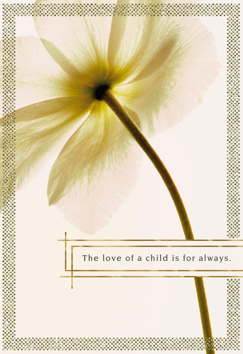 Photographic Flower Sympathy Mother's Day Card