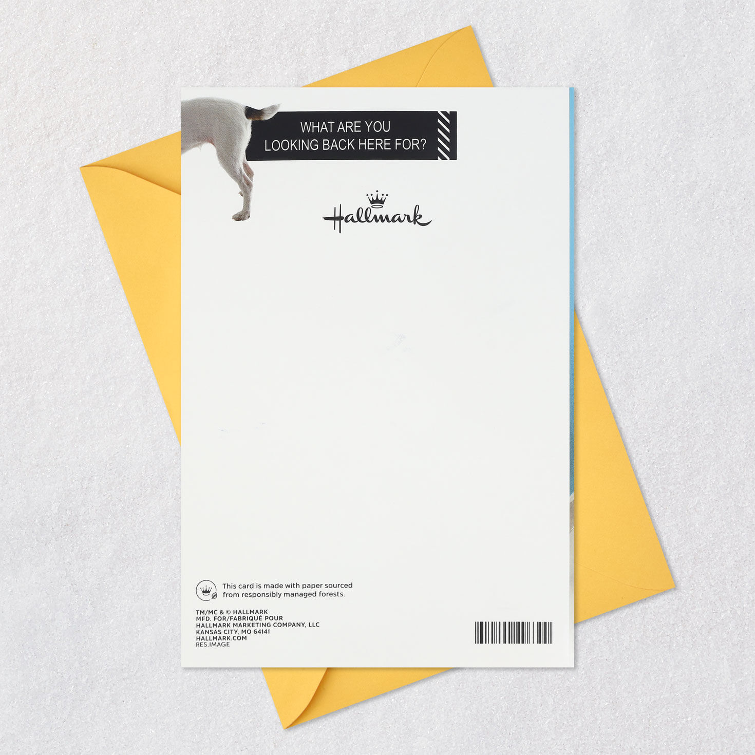 Happy from A.M. to B.M. Funny Birthday Card for only USD 5.99 | Hallmark