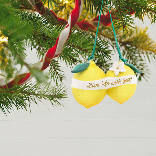 Live Life With Zest! Porcelain Ornament, 