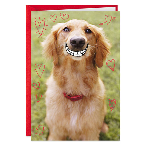 Smiling Dog Love You Funny Valentine's Day Card, 