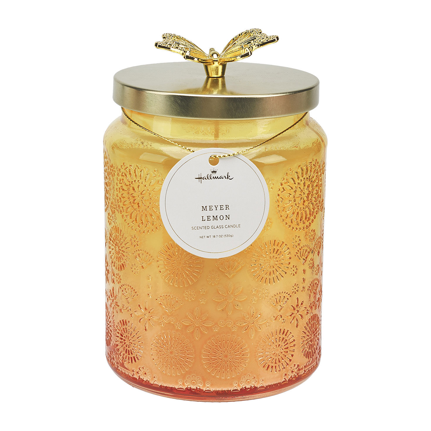 Meyer Lemon Scented Glass Candle, 18.7 oz.