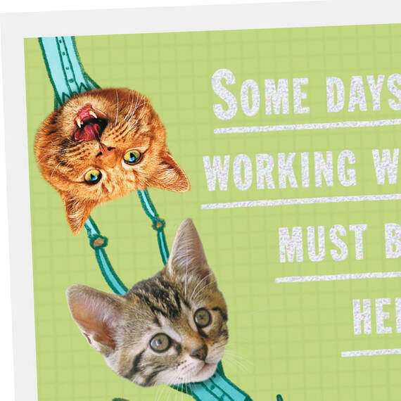 Herding Cats Funny Thank-You Card for Co-Worker, , large image number 4