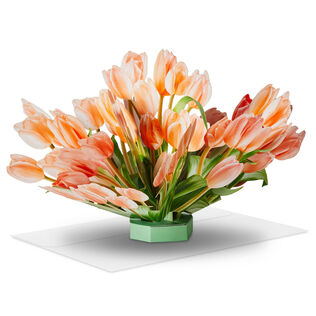 Build-a-Bouquet Peach Tulips Pop-Up Paper Flowers