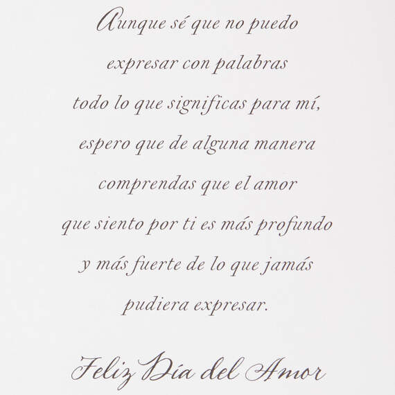Never Loved Anyone Like I Love You Spanish-Language Valentine's Day Card, , large image number 2