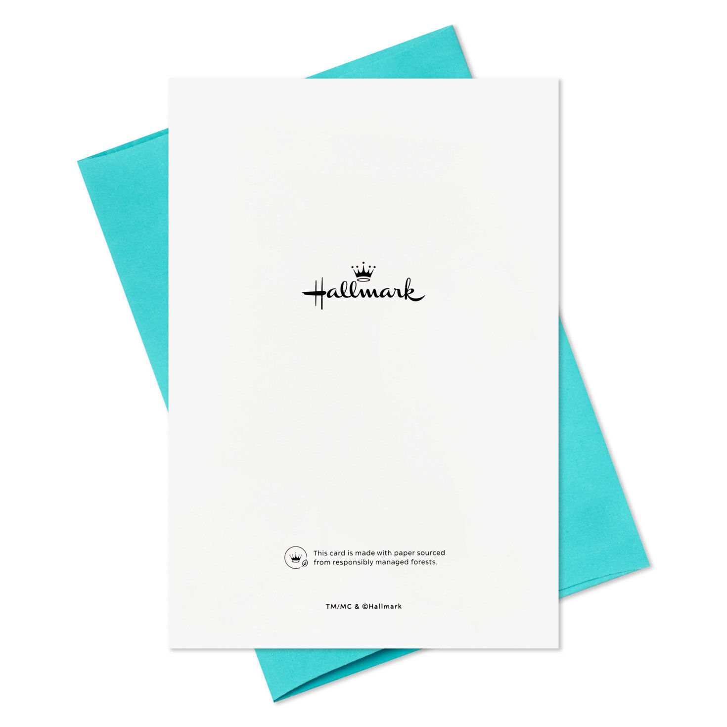 Snowman With Gift Boxed Christmas Cards With Detachable Ornaments, Pack of 10, , large image number 8