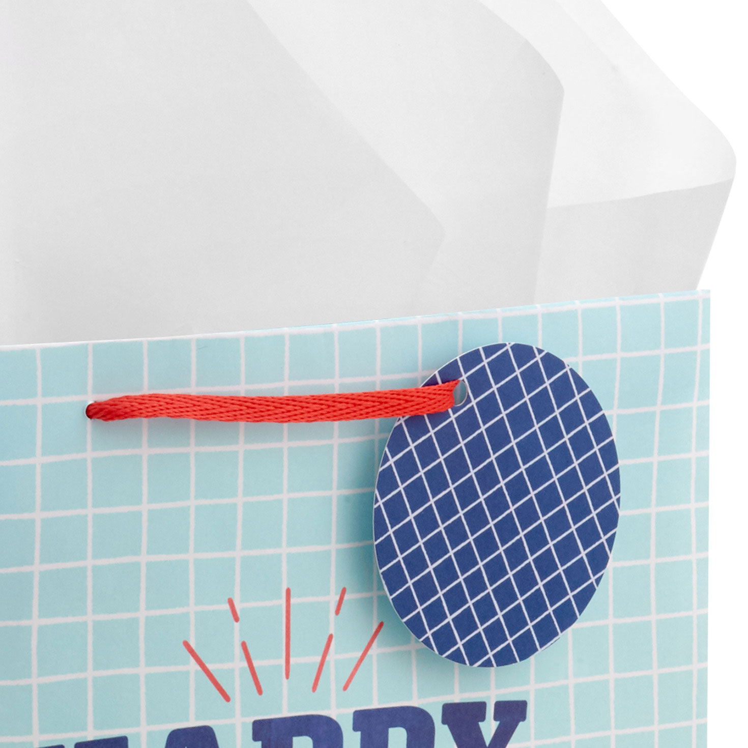 Blue Grid Large Father's Day Gift Bag With Tissue Handle Detail image number 4