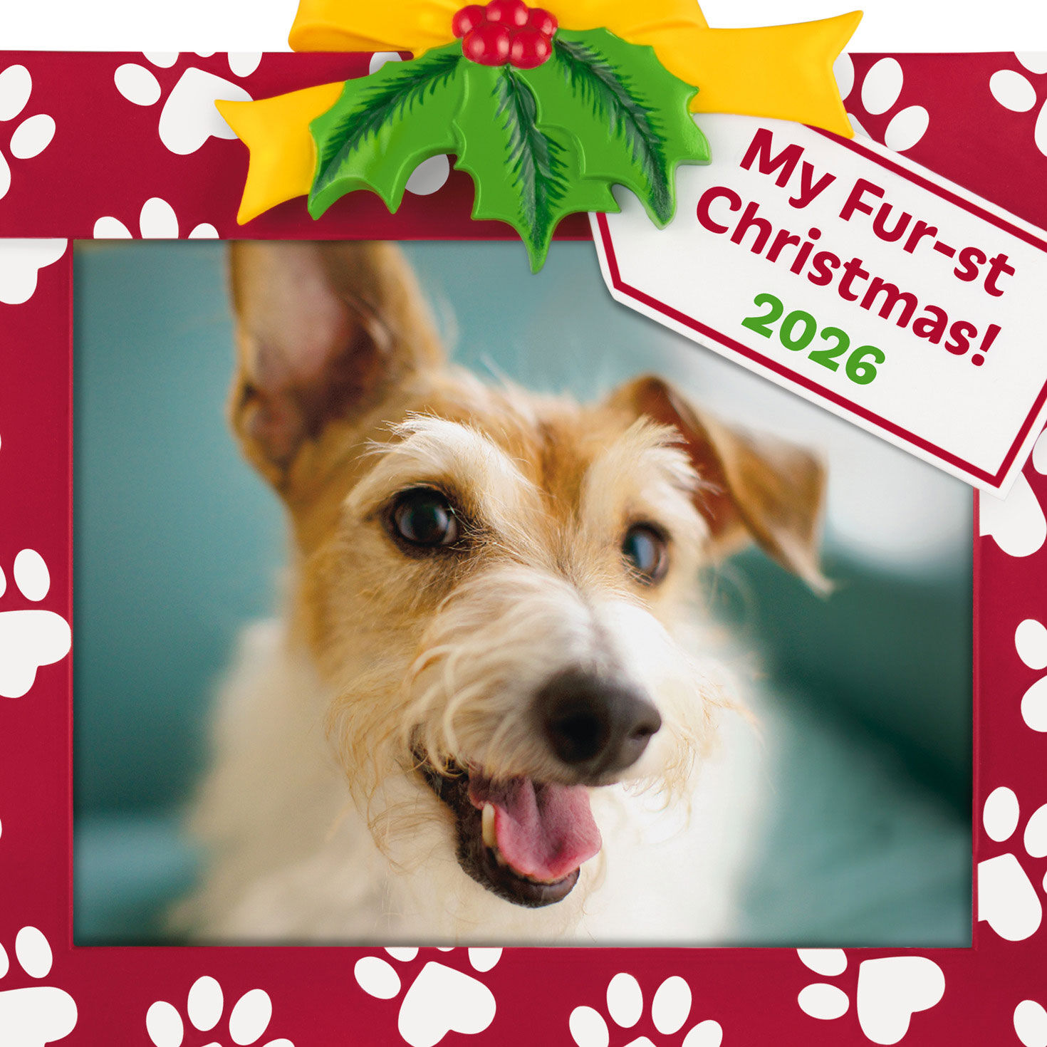 Christmas Present Pet Personalized Photo Ornament upclose view image number 5