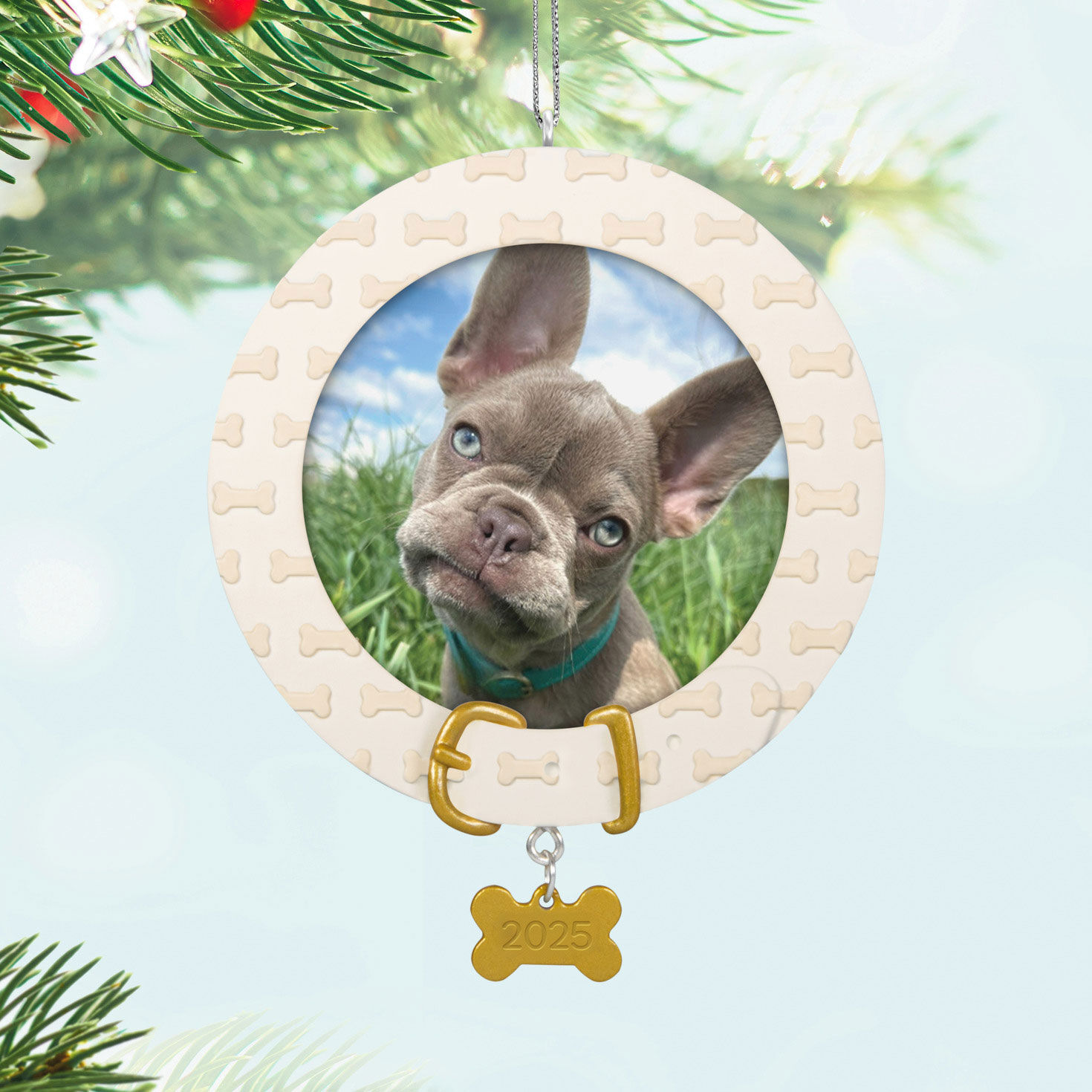 Faithful Friend 2025 Personalized Ornament, Custom Photo for only USD 24.99 | Hallmark