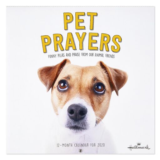 Puppies 2020 Wall Calendar 12 Month Calendars Hallmark