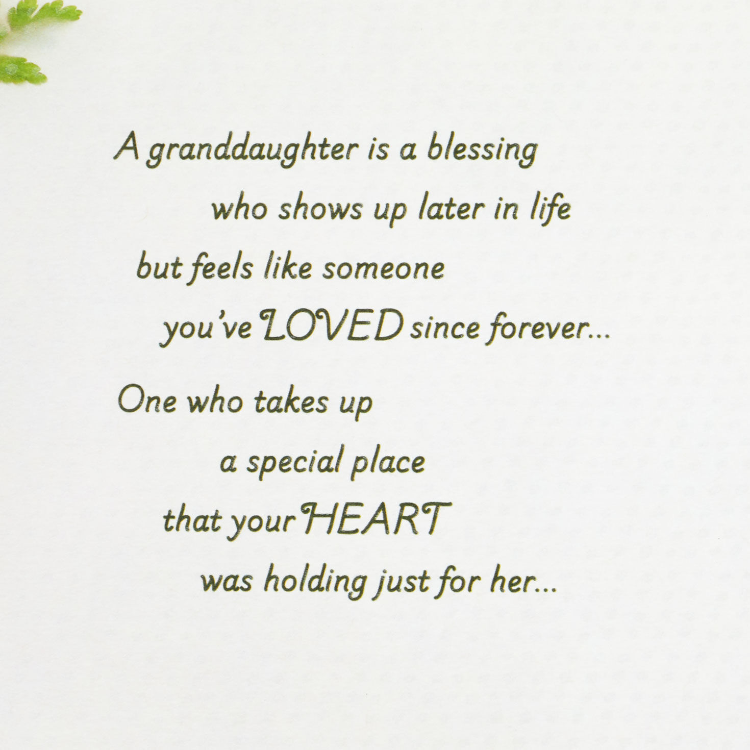 Yellow and White Flowers Granddaughter Birthday Card sentiment image number 2