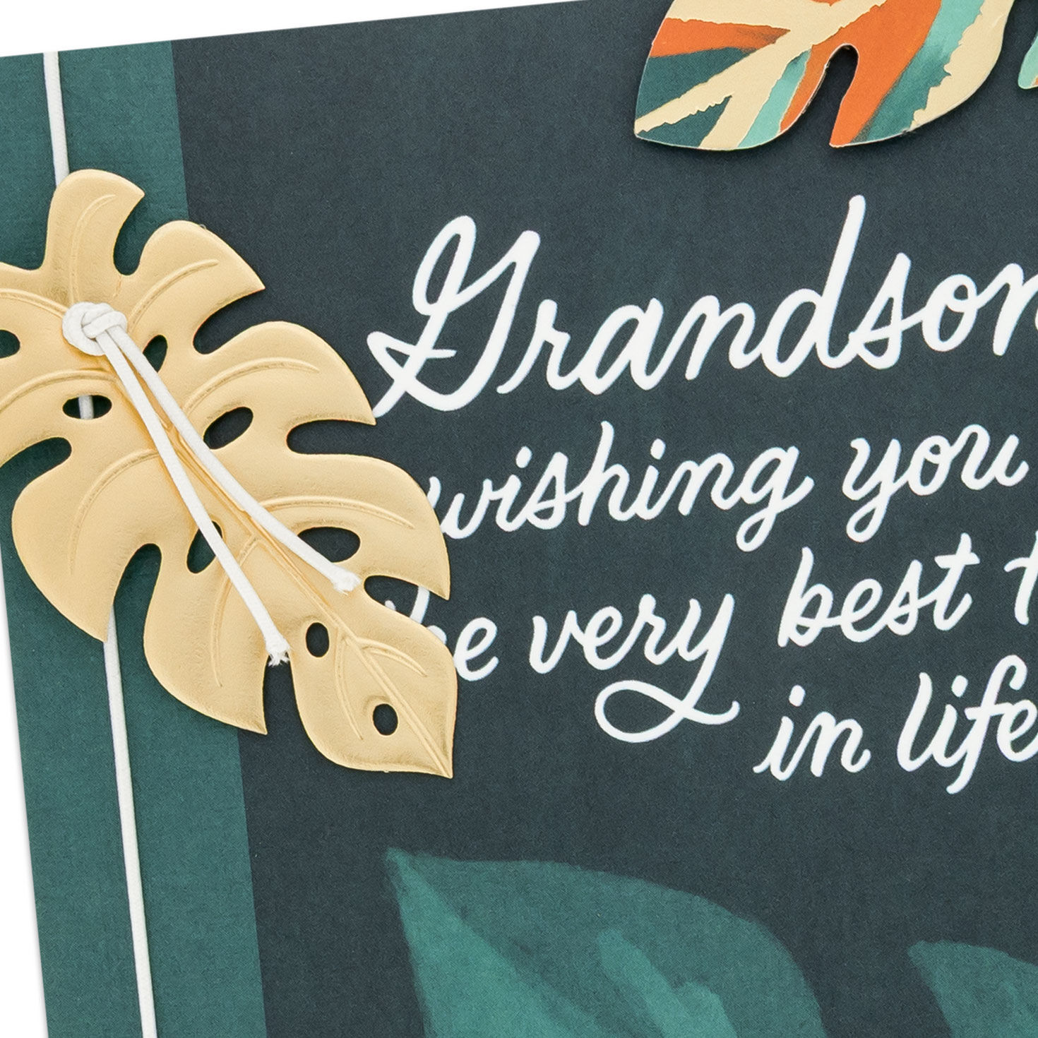 Colorful Monstera Leaves Grandson Birthday Card Card Front Detail image number 6