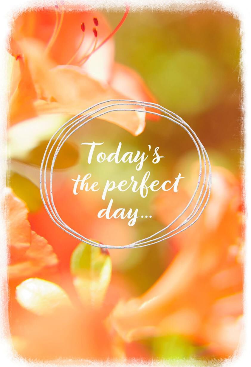 Perfect Day for Happy Thoughts Thinking of You Card
