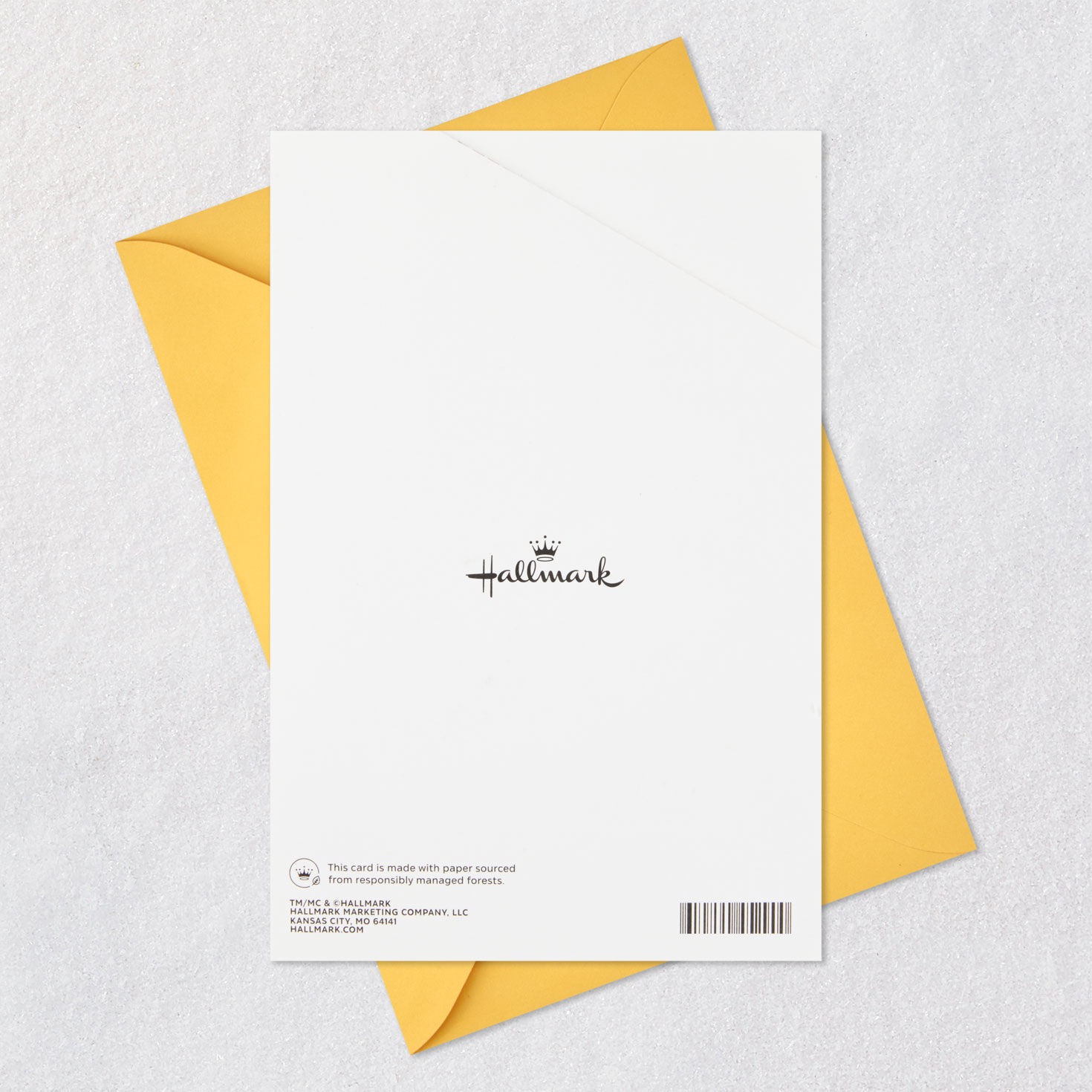 Cats and Dogs Applause Pop-Up Birthday Card Card Back with Envelope image number 7