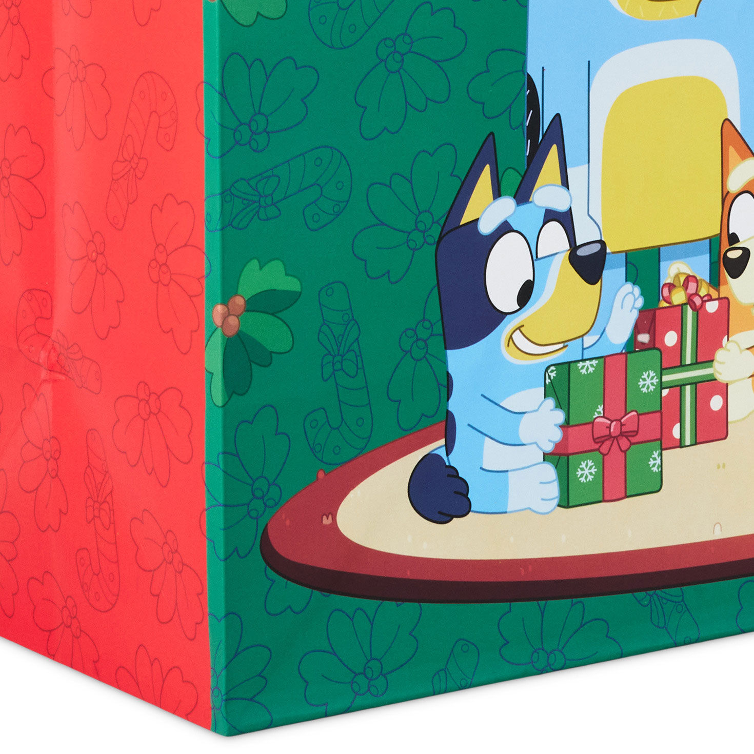 Bluey Family on Green Large Christmas Gift Bag Base/Side Detail image number 5