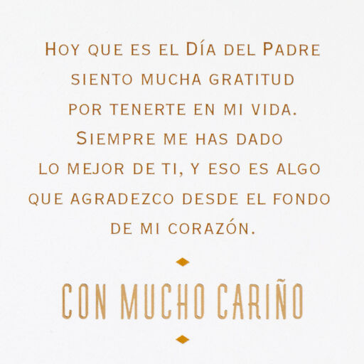 Love and Gratitude Spanish-Language Father's Day Card for Papá, 