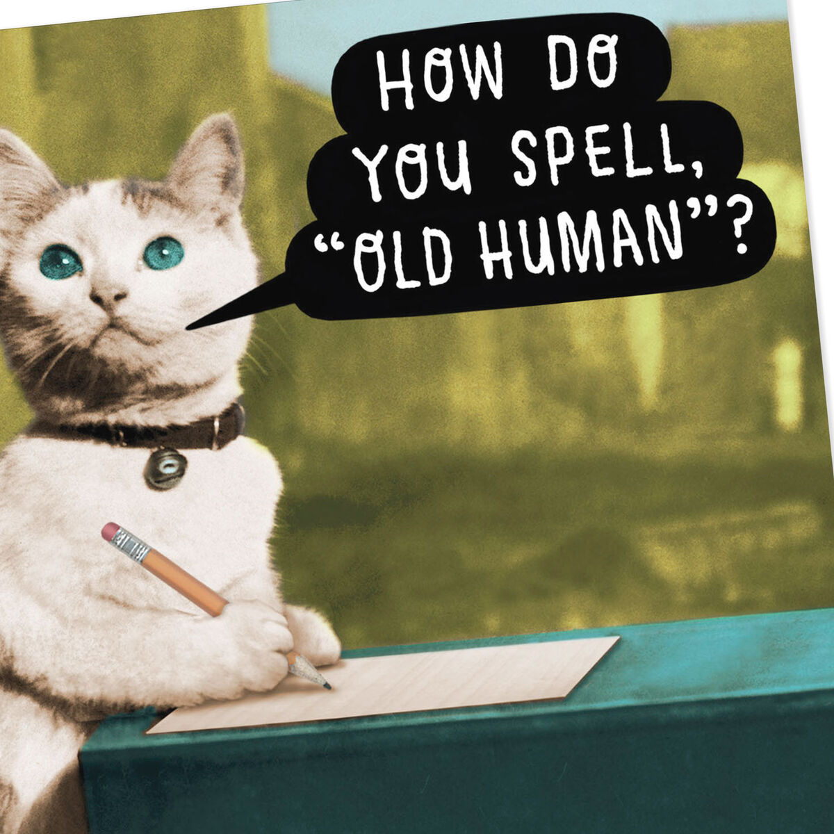 Cat Writing Letter for Old Human Funny Birthday Card - Greeting Cards