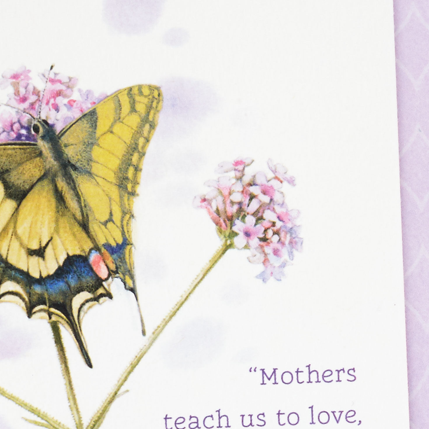 Butterfly and Flowers Sympathy Card for Loss of Mother Card Front Detail image number 4