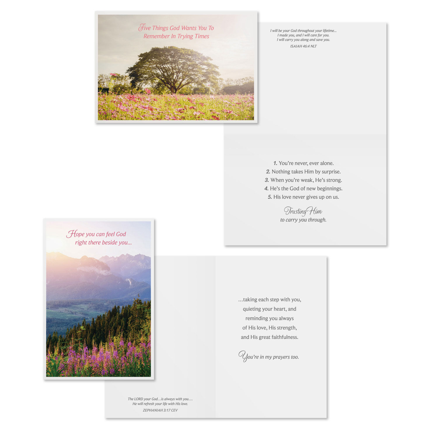 Scenic DaySpring Care and Concern Cards Assortment Card Front with Sentiment image number 3