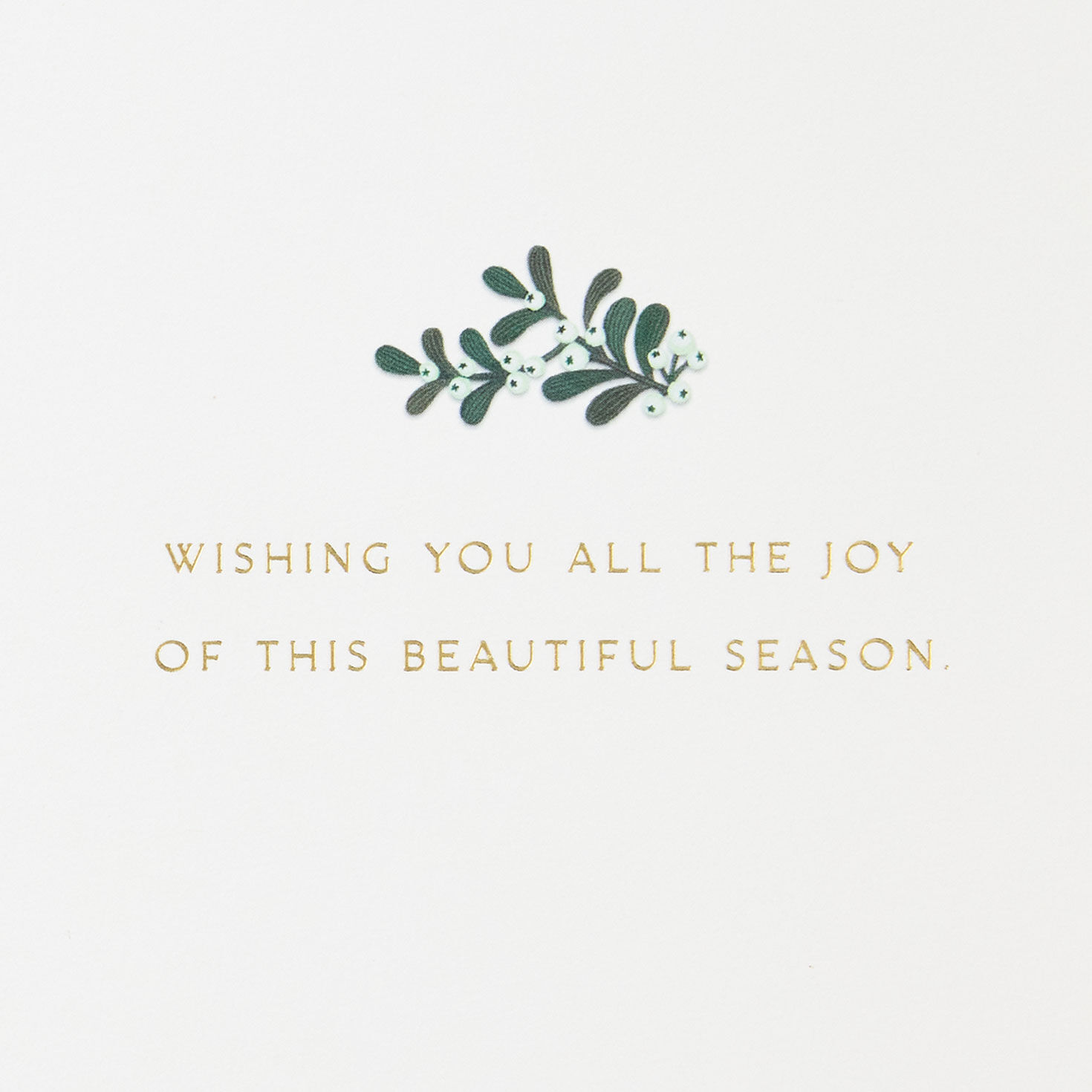 Poinsettia Botanical Gold Foil Christmas Card sentiment image number 2