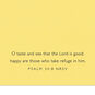 Butterflies and Flowers Religious Birthday Card Scripture image number 3