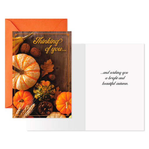 Pumpkins and Gourds Halloween Cards, Pack of 6, 