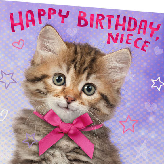 Cuddly Kitten With Bow Birthday Card for Niece, , large image number 4