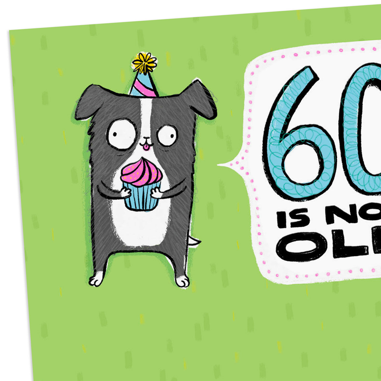 Dog and Cupcake Funny 60th Birthday Card Card Front Detail image number 4