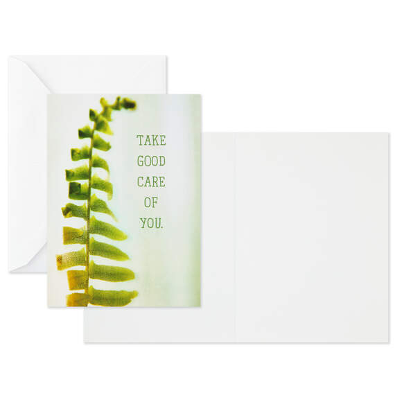 Nature Images Assorted Thinking of You Cards, Pack of 12, , large image number 4