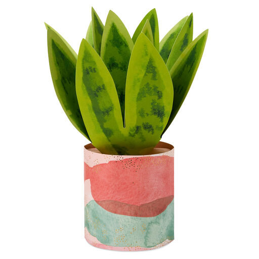 Snake Plant 3D Pop-Up Card for Mom, 