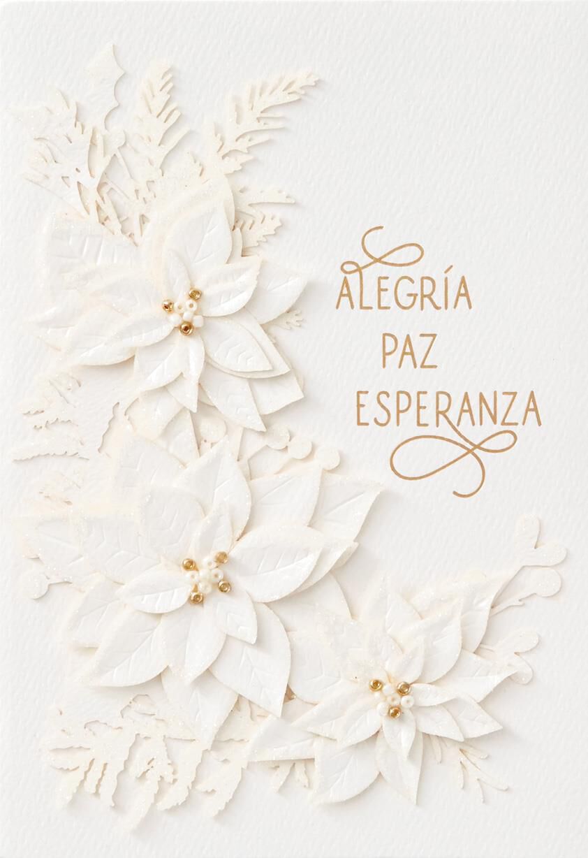 Alegría, Paz, Esperanza Spanish-Language Christmas Card