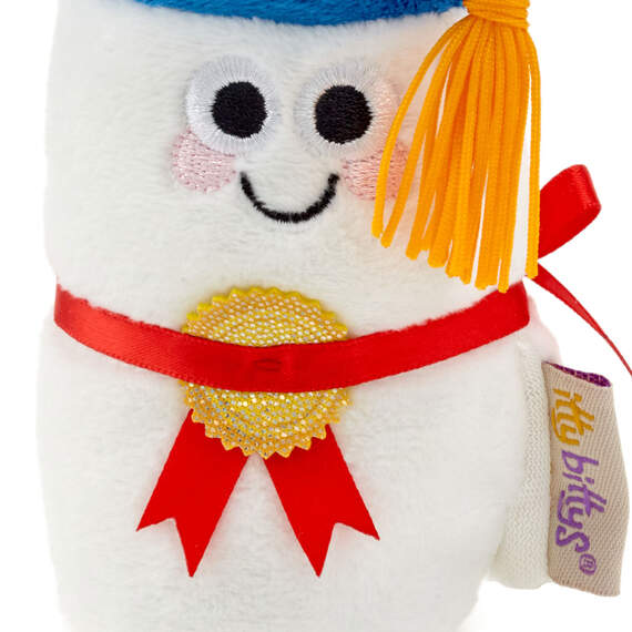 itty bittys® Diploma Plush With Sound, , large image number 5