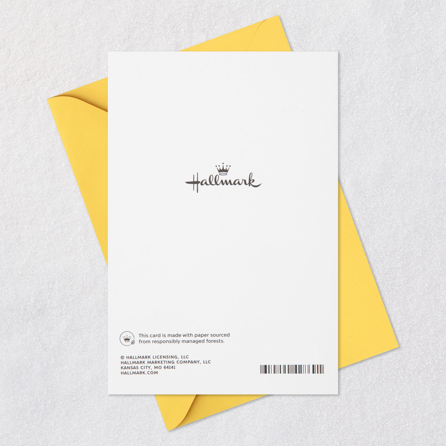 Today Belongs to You Birthday Card for Daughter-in-Law, , large image number 8