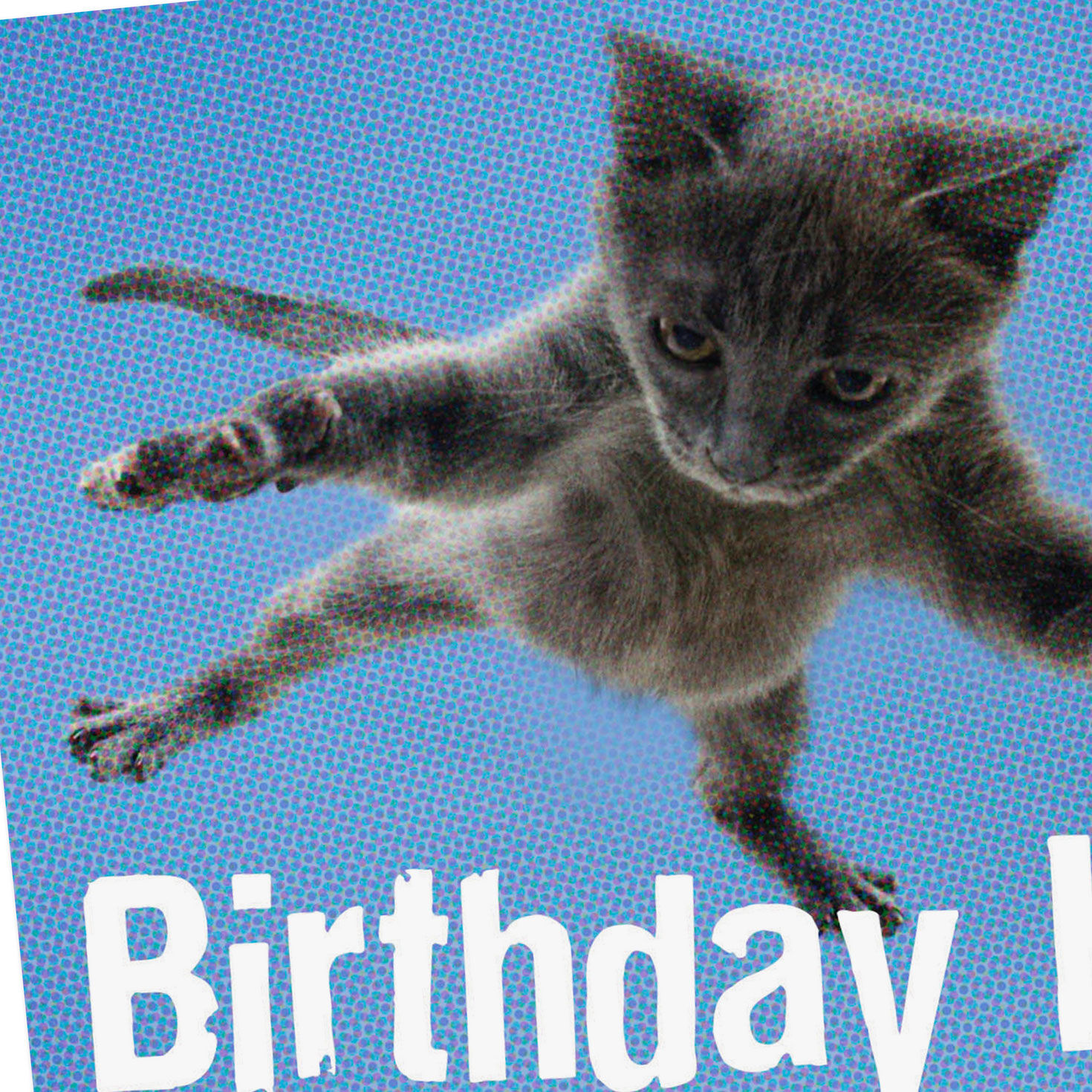 Leaping Gray Cat on Blue Birthday Card Card front detail image number 4