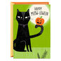 Black Cat and Pumpkin on Green Halloween Card  image number 1