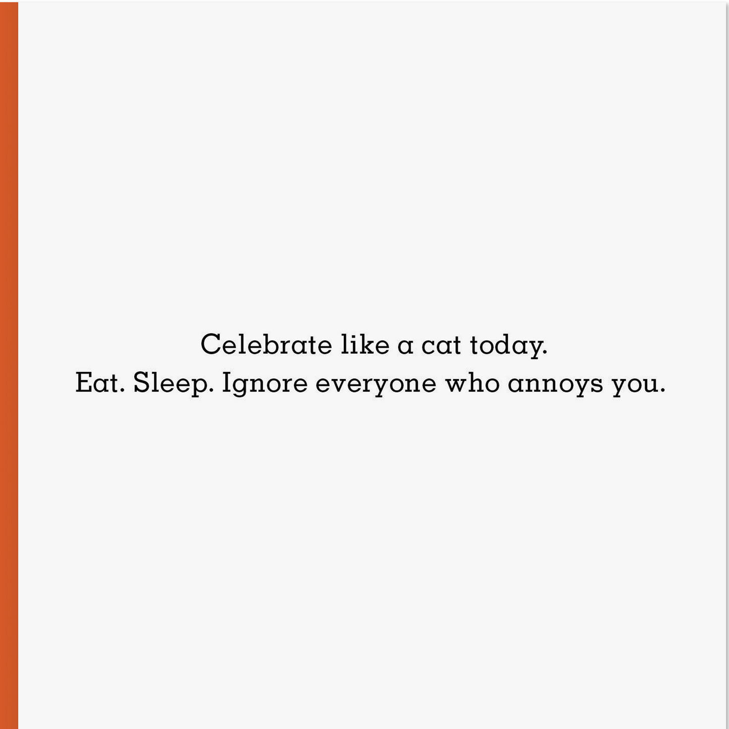 Sleeping Kitty Cat Funny Birthday Card Sentiment image number 2