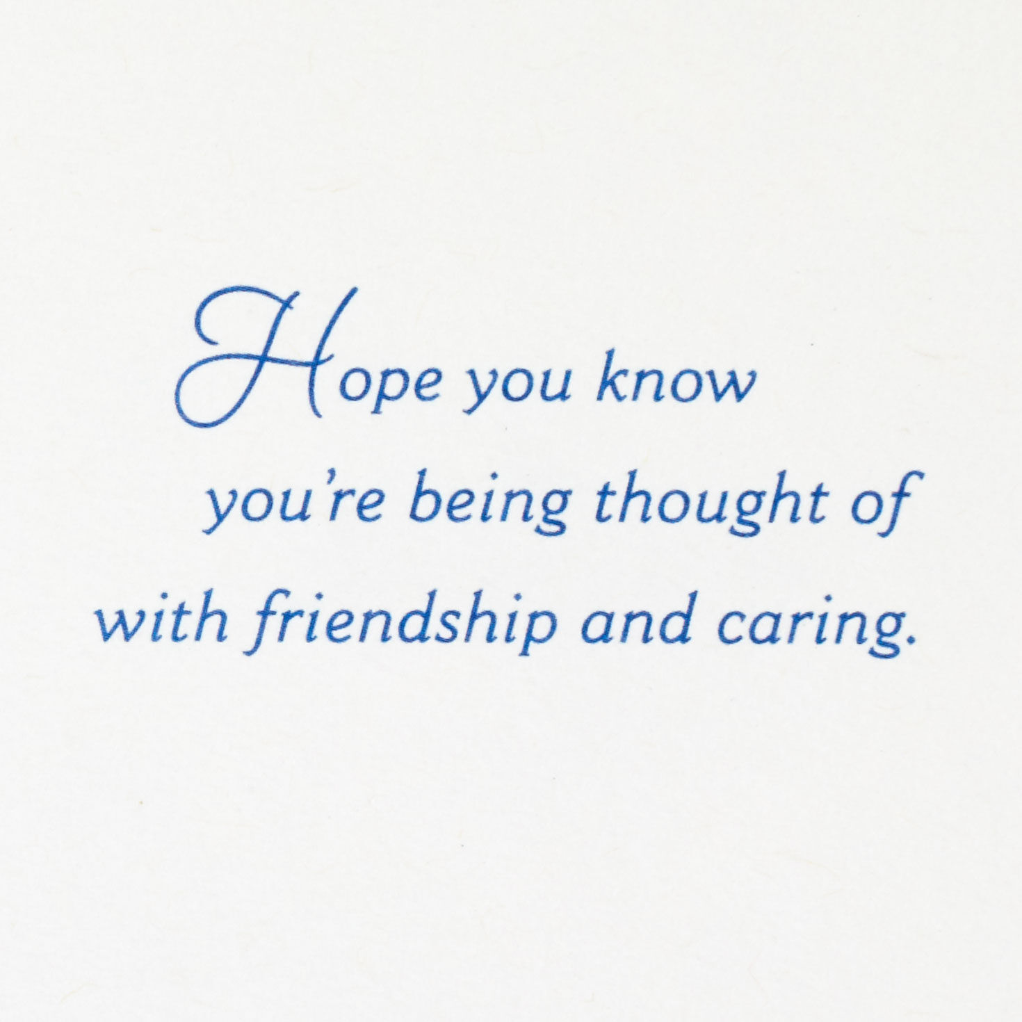 Pink Fern Leaf on Blue Sympathy Card Sentiment image number 3