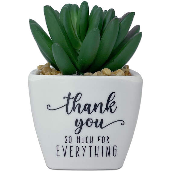 Faux Potted Succulent With Thank-You Message, , large image number 1