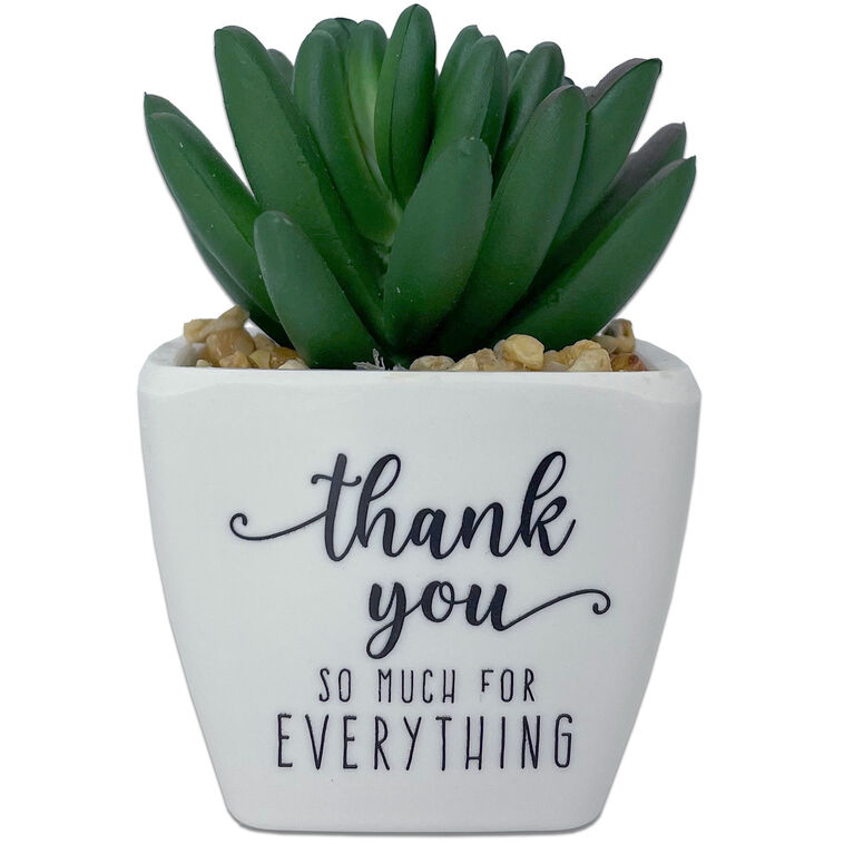 Faux Potted Succulent With Thank-You Message