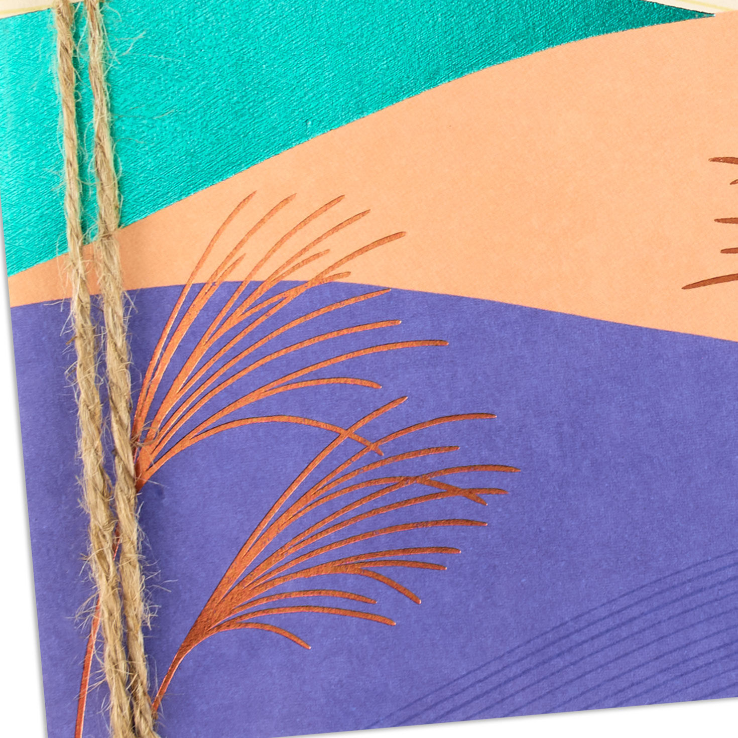 Bronze Dragonfly and Abstract Landscape Grandson Birthday Card Card Front Detail image number 5