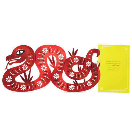 A Good Time to Celebrate Year of the Snake Birthday Card, 