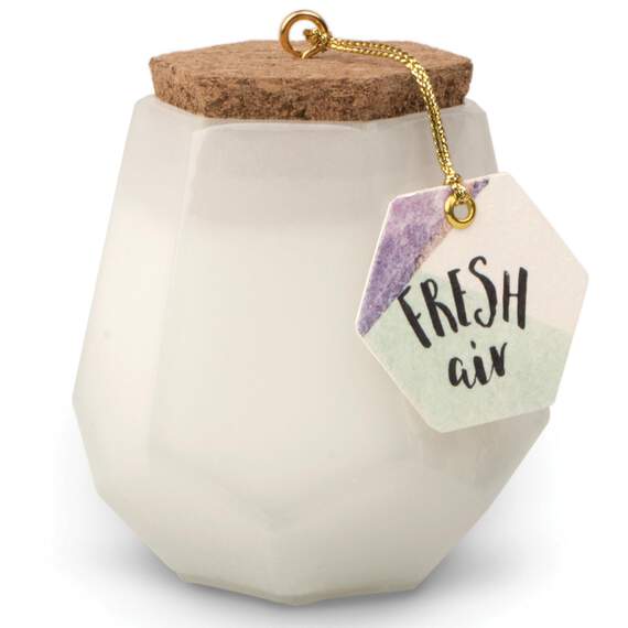 Paddywax® Fresh Air Prism Soy Candle, 2.5 oz., , large image number 1