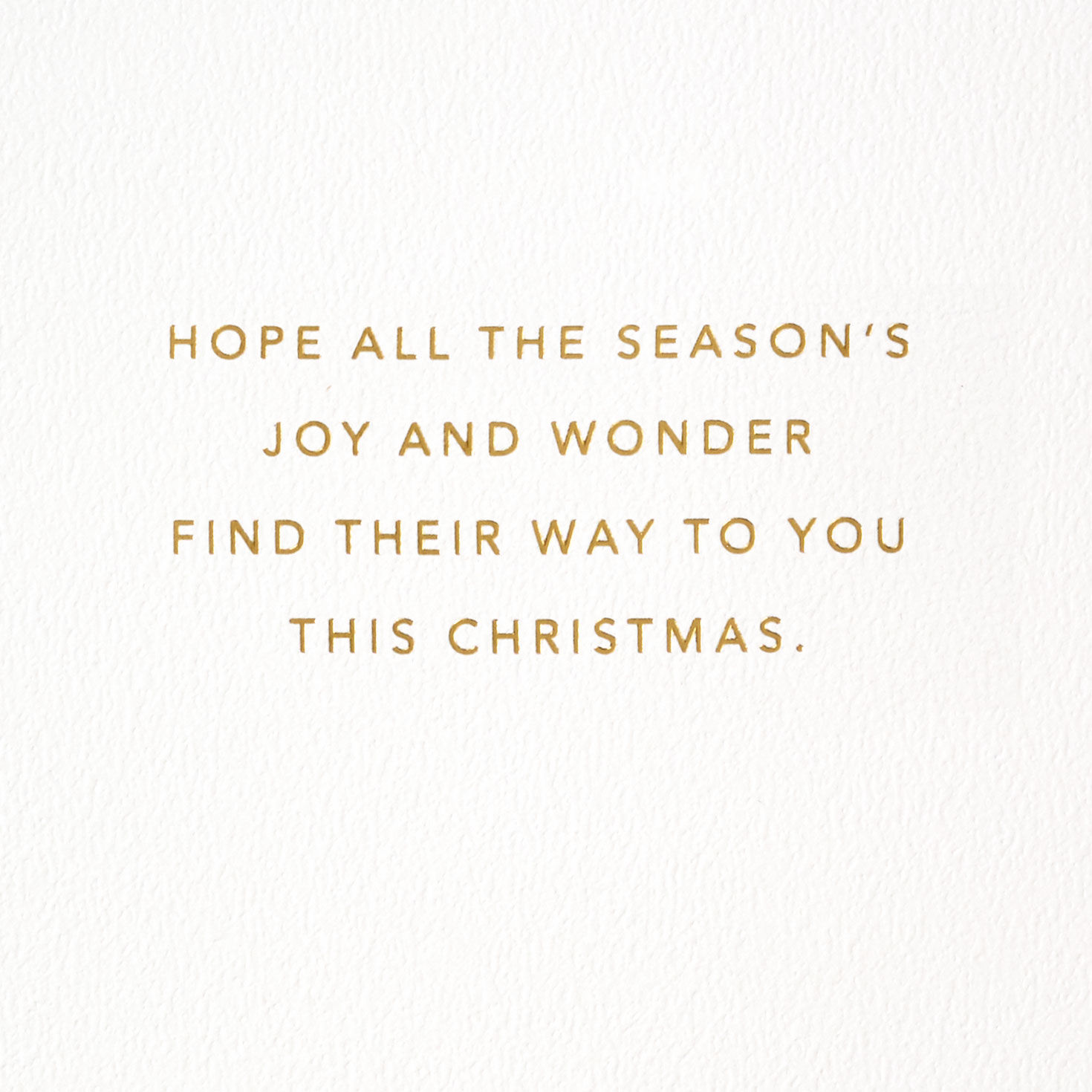 Santa's Sleigh Over Houses Snow Globe Christmas Card Sentiment image number 2