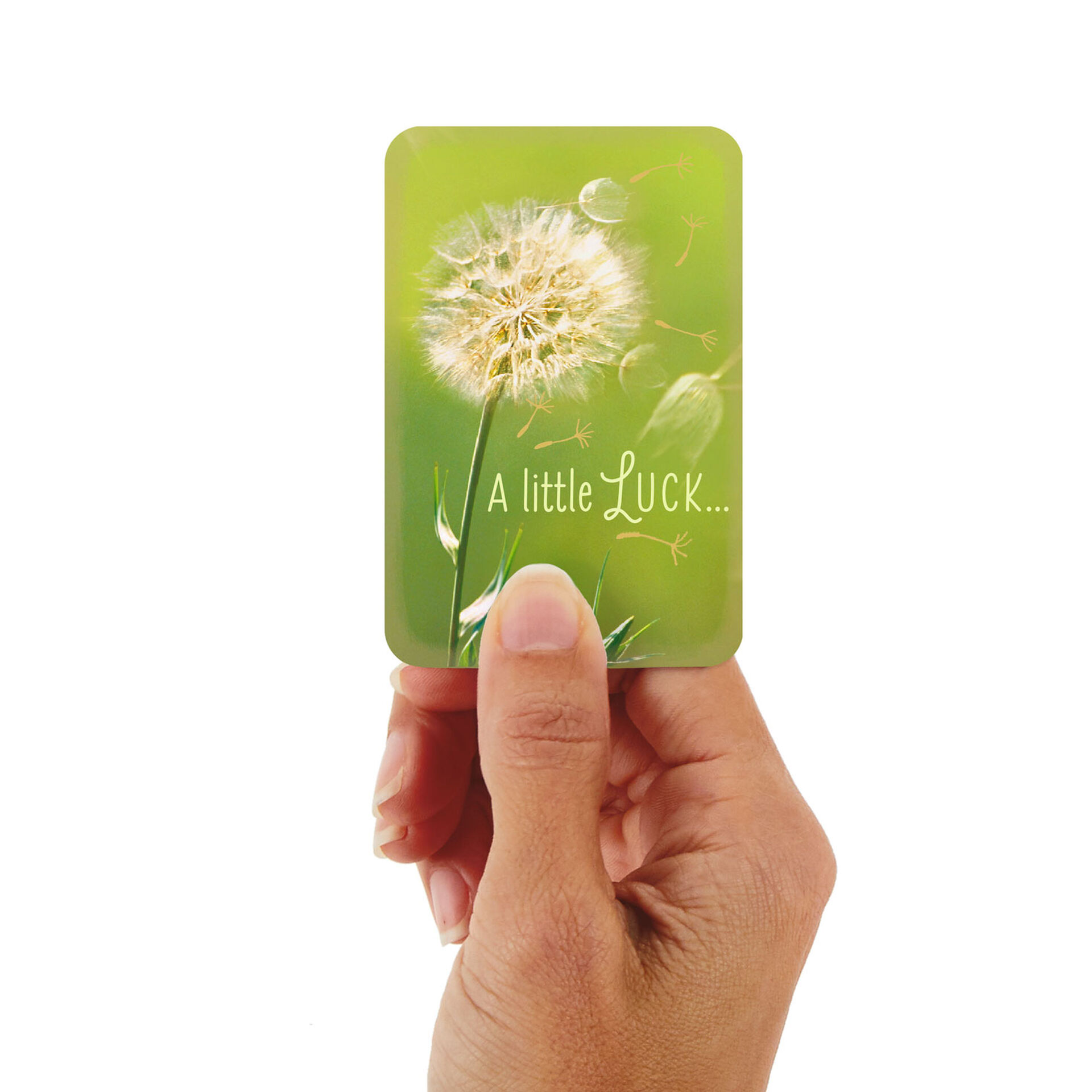 3 25 Mini Dandelion Wishes Good Luck Card Greeting Cards Hallmark