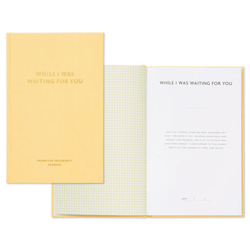 While I Was Waiting Prompted Pregnancy Journal, 
