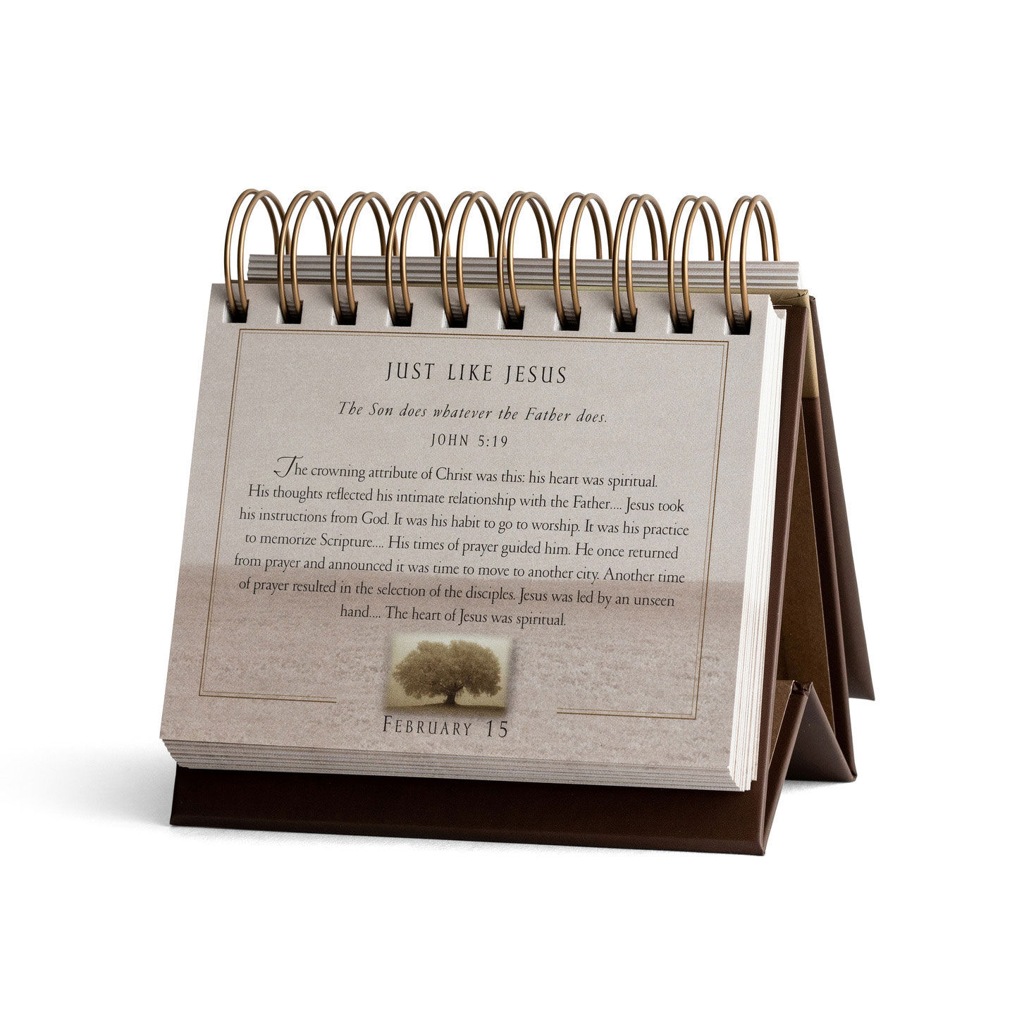 Max Lucado Grace for the Moment Perpetual Calendar inside page image number 4