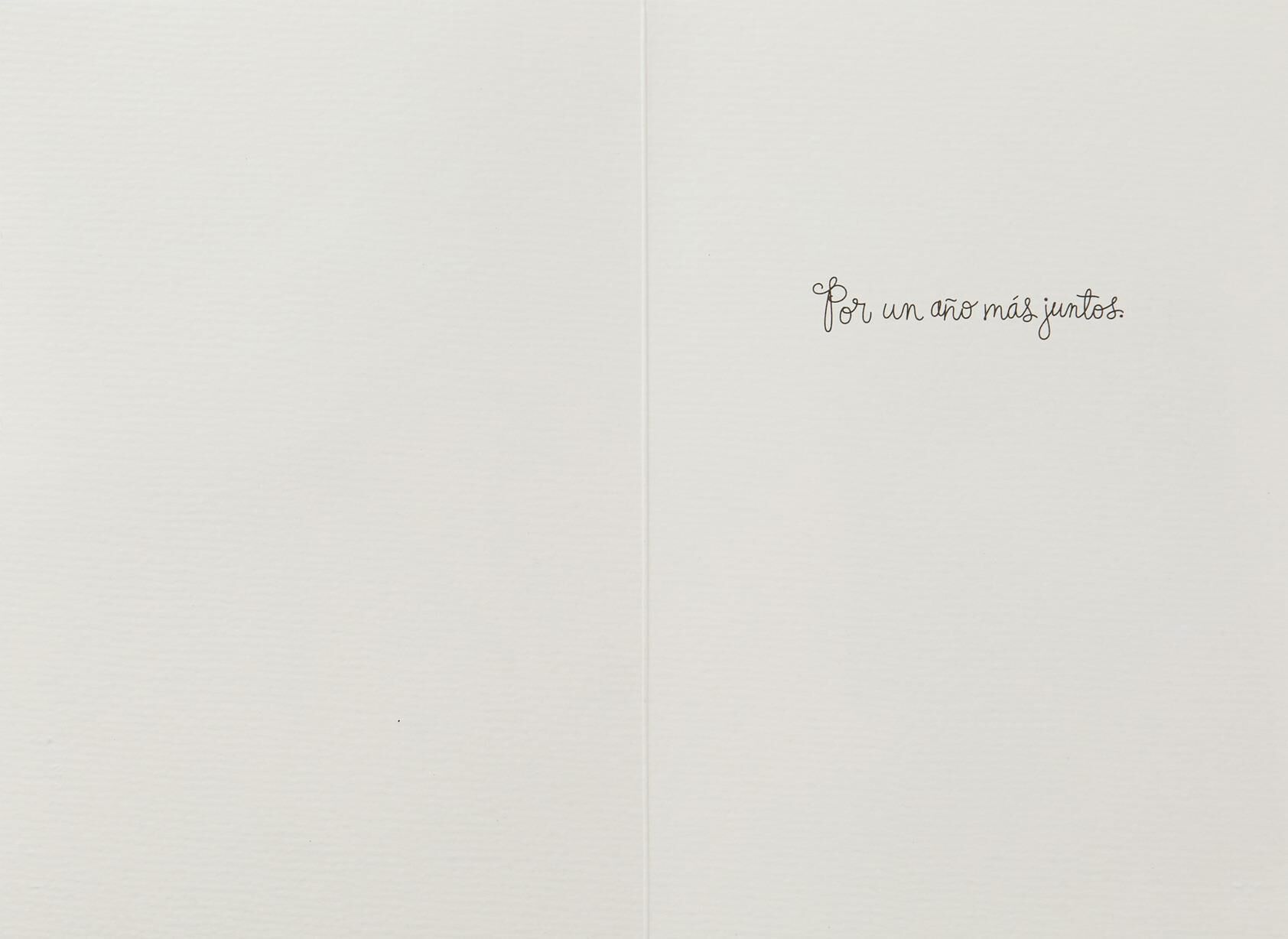 Feliz Aniversario Spanish Language Anniversary Card